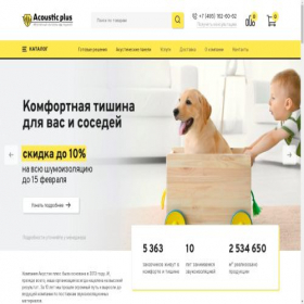 Скриншот главной страницы сайта acoustic.plus
