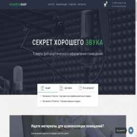 Скриншот главной страницы сайта acousticshop.ru