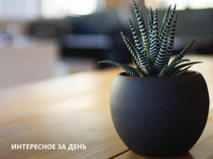 Скриншот главной страницы сайта adguardpc.ru