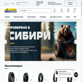 Скриншот главной страницы сайта advancerussia.ru