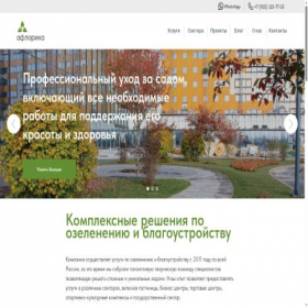 Скриншот главной страницы сайта aflorika.ru