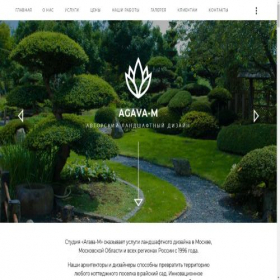 Скриншот главной страницы сайта agava-m.com