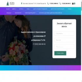 Скриншот главной страницы сайта agava24.ru