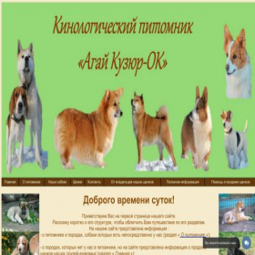 Скриншот главной страницы сайта agaykuzyur-ok.ru