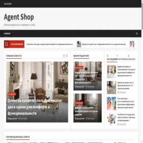 Скриншот главной страницы сайта agentshop.su