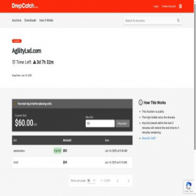 Скриншот главной страницы сайта agilitylsd.com
