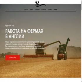 Скриншот главной страницы сайта agro-grooupe.com