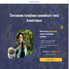 Скриншот главной страницы сайта agro-mir.fun