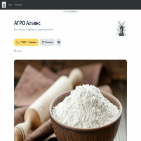 Скриншот главной страницы сайта agroalians.clients.site