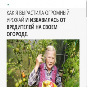 Скриншот главной страницы сайта agrotovars.creatium.site