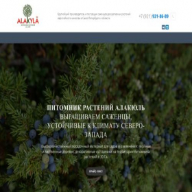 Скриншот главной страницы сайта alakyla.com