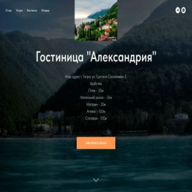 Скриншот главной страницы сайта aleksandr1ia.tilda.ws