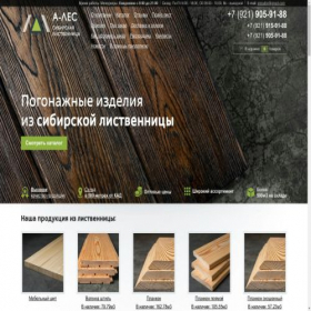 Скриншот главной страницы сайта ales-spb.ru