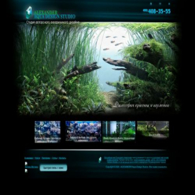 Скриншот главной страницы сайта alexaquascape.ru