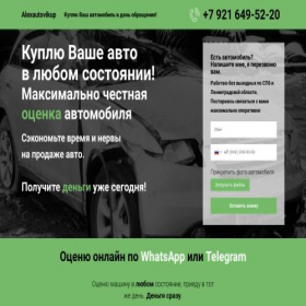 Скриншот главной страницы сайта alexautovikup.ru