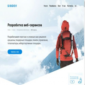 Скриншот главной страницы сайта alfawebpro.ru