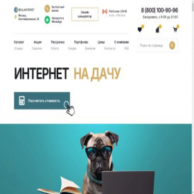 Скриншот главной страницы сайта alikso.ru