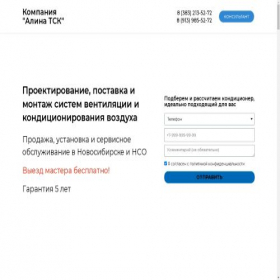 Скриншот главной страницы сайта alinatsk54.ru
