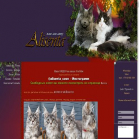 Скриншот главной страницы сайта alisenta-coon.ru