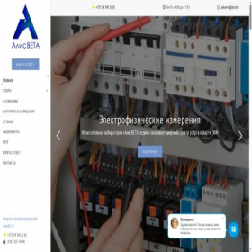 Скриншот главной страницы сайта alisveta.by