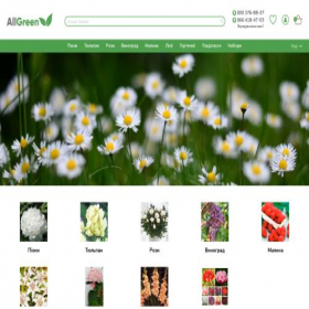 Скриншот главной страницы сайта allgreen.com.ua