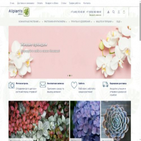 Скриншот главной страницы сайта allplants.store