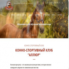 Скриншот главной страницы сайта allur98.ru