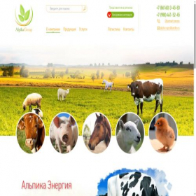 Скриншот главной страницы сайта alpigroup.ru