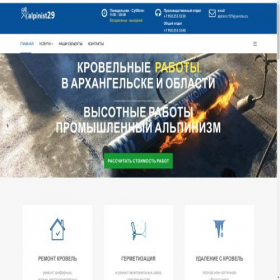 Скриншот главной страницы сайта alpinist29.ru