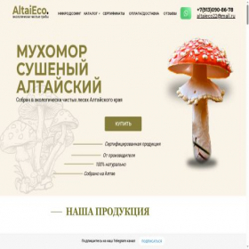 Скриншот главной страницы сайта altaieco.ru