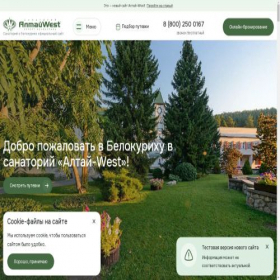 Скриншот главной страницы сайта altay-west.ru
