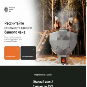 Скриншот главной страницы сайта altaychan54.ru