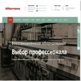 Скриншот главной страницы сайта alternovamsk.ru