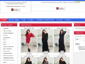 Скриншот главной страницы сайта alve.com.ua