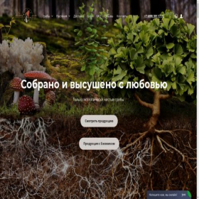 Скриншот главной страницы сайта amanita-club.online