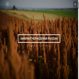 Скриншот главной страницы сайта amarant46.ru
