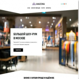 Скриншот главной страницы сайта amazonia-group.ru