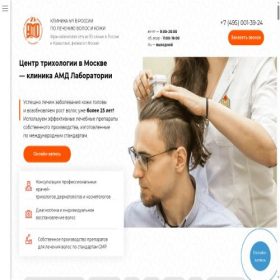 Скриншот главной страницы сайта amdlab2001.ru