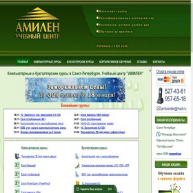 Скриншот главной страницы сайта amicenter.ru