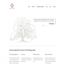Скриншот главной страницы сайта amicum-capital.com