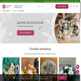 Скриншот главной страницы сайта ammoria.ru