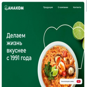Скриншот главной страницы сайта anacom.ru