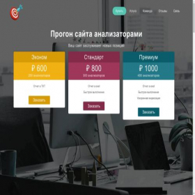 Скриншот главной страницы сайта analiz.100zona.com