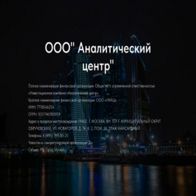 Скриншот главной страницы сайта analytical.company.tilda.ws