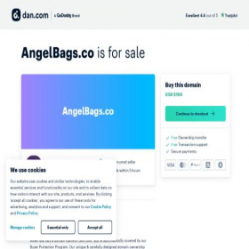 Скриншот главной страницы сайта angelbags.co