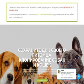 Скриншот главной страницы сайта animalsdna.kriorus.ru