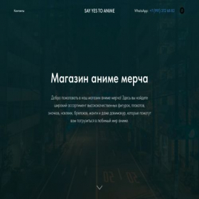 Скриншот главной страницы сайта animemerchspb.ru