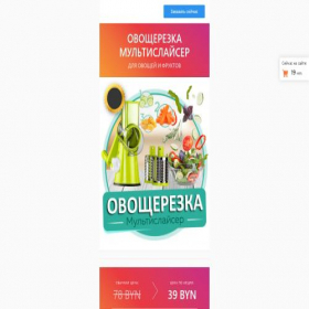 Скриншот главной страницы сайта anti-moskit.site