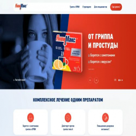 Скриншот главной страницы сайта anvimax.ru