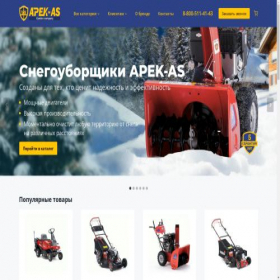 Скриншот главной страницы сайта apek-as.ru
